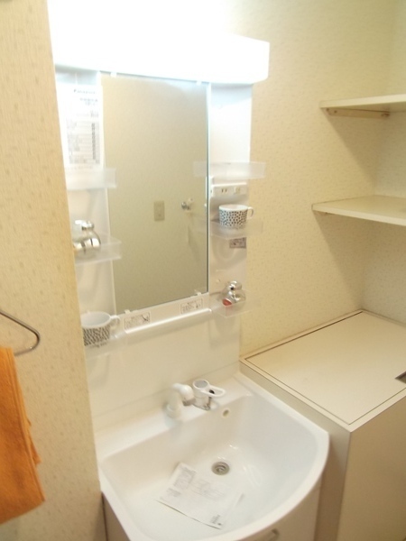 Toilet. Western-style toilet