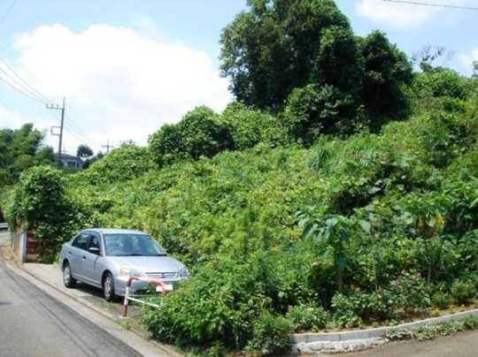 Local land photo. Local Photos (1)