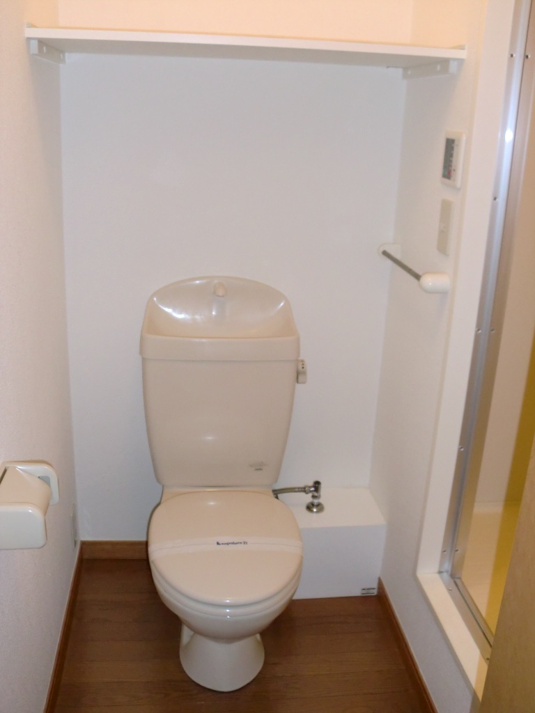 Toilet. Reference photograph