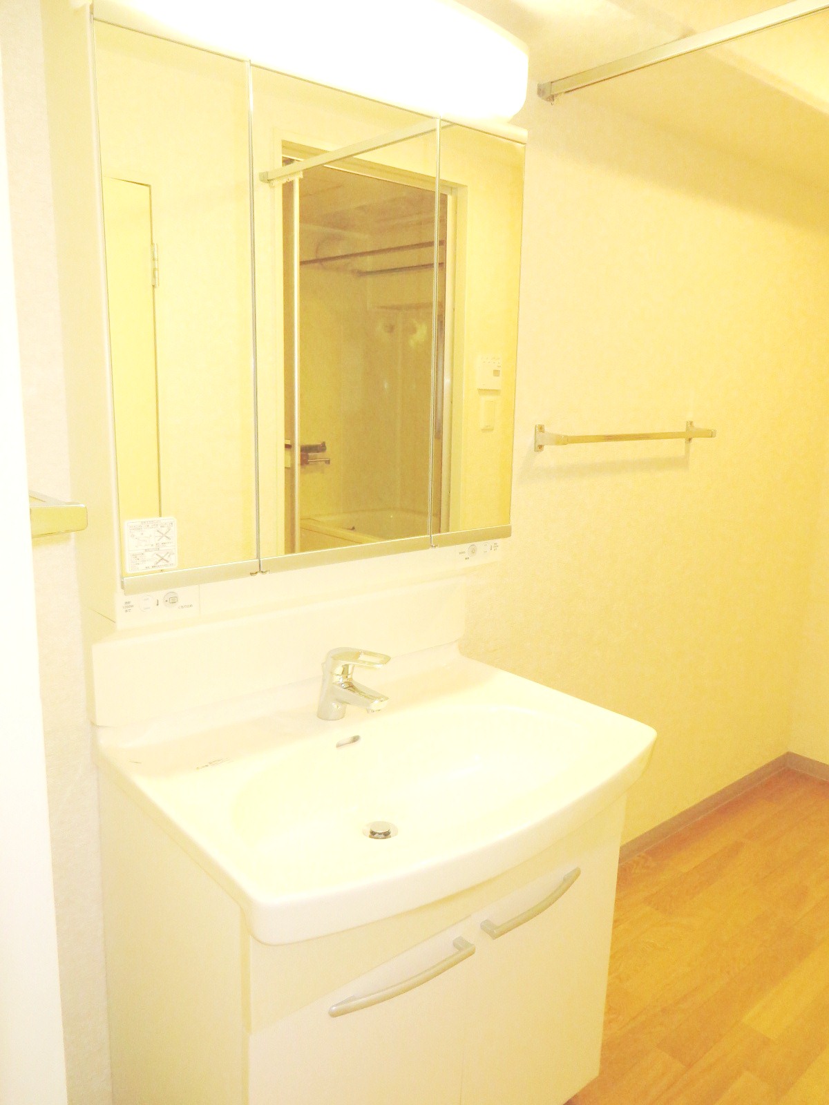 Washroom. Bathroom vanity