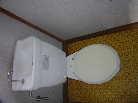 Toilet. It is a photograph of the same type separate room. 