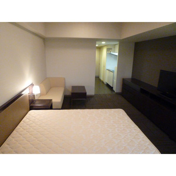 Living and room. Room space