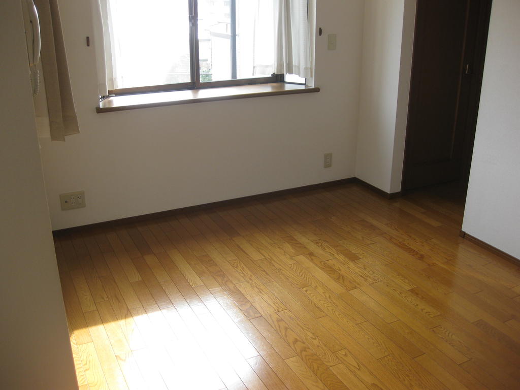 Living and room. Bright living room