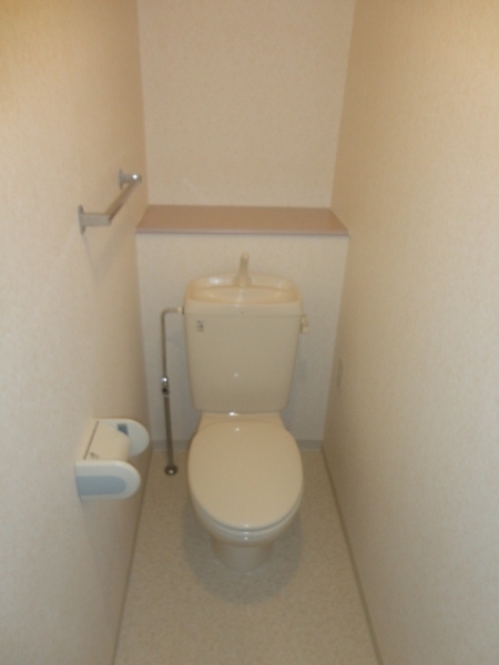 Toilet. Western-style toilet