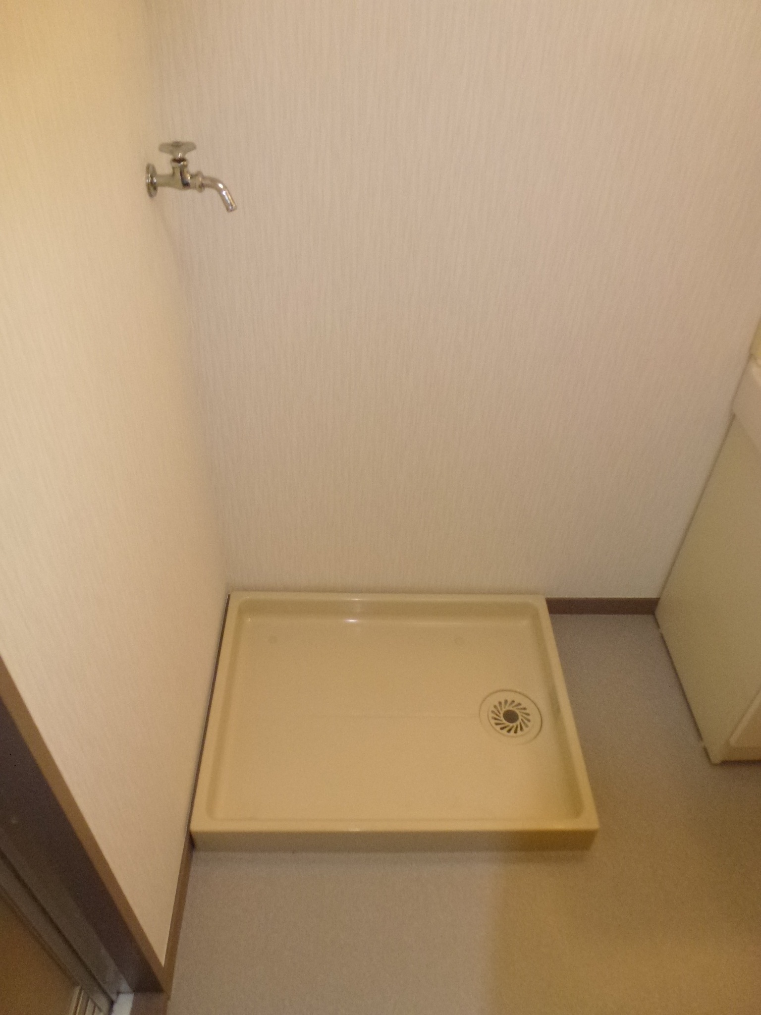 Washroom. Indoor Laundry Storage