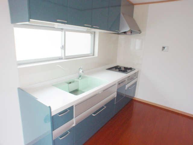 Kitchen. Same house builders construction cases