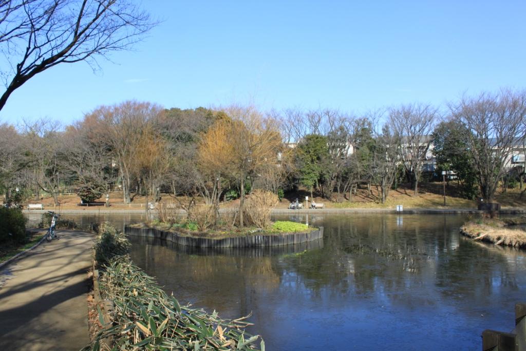 park. 220m to babble park (park)