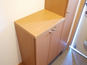 Other Equipment. Shoe box