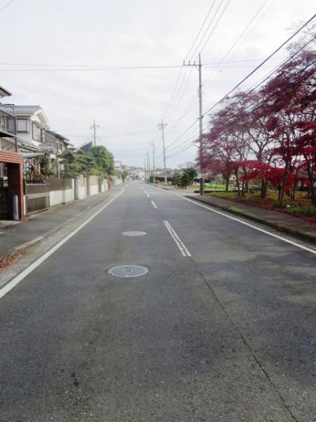 Local photos, including front road