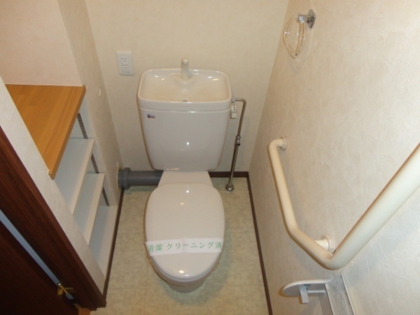 Toilet. Western-style toilet
