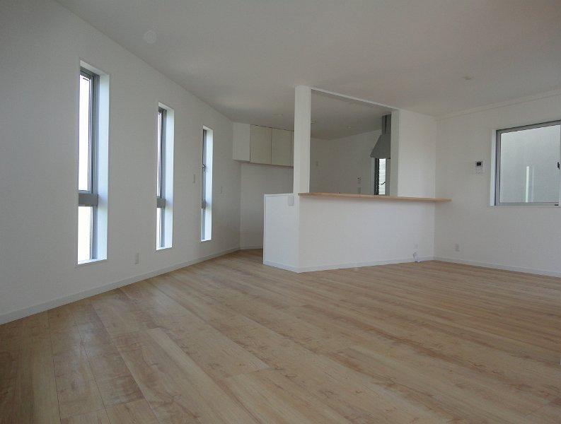 Living. Indoor (June 2013) Shooting