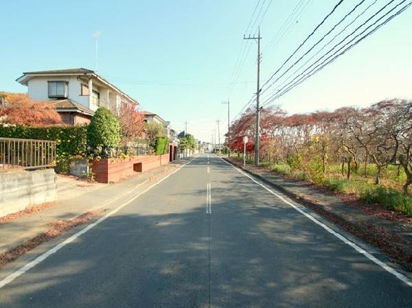 Local photos, including front road. It is safe there is also the sidewalk on both sides
