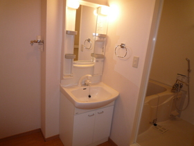 Washroom. Independent wash basin