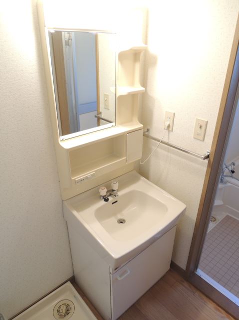 Washroom. Bathroom vanity
