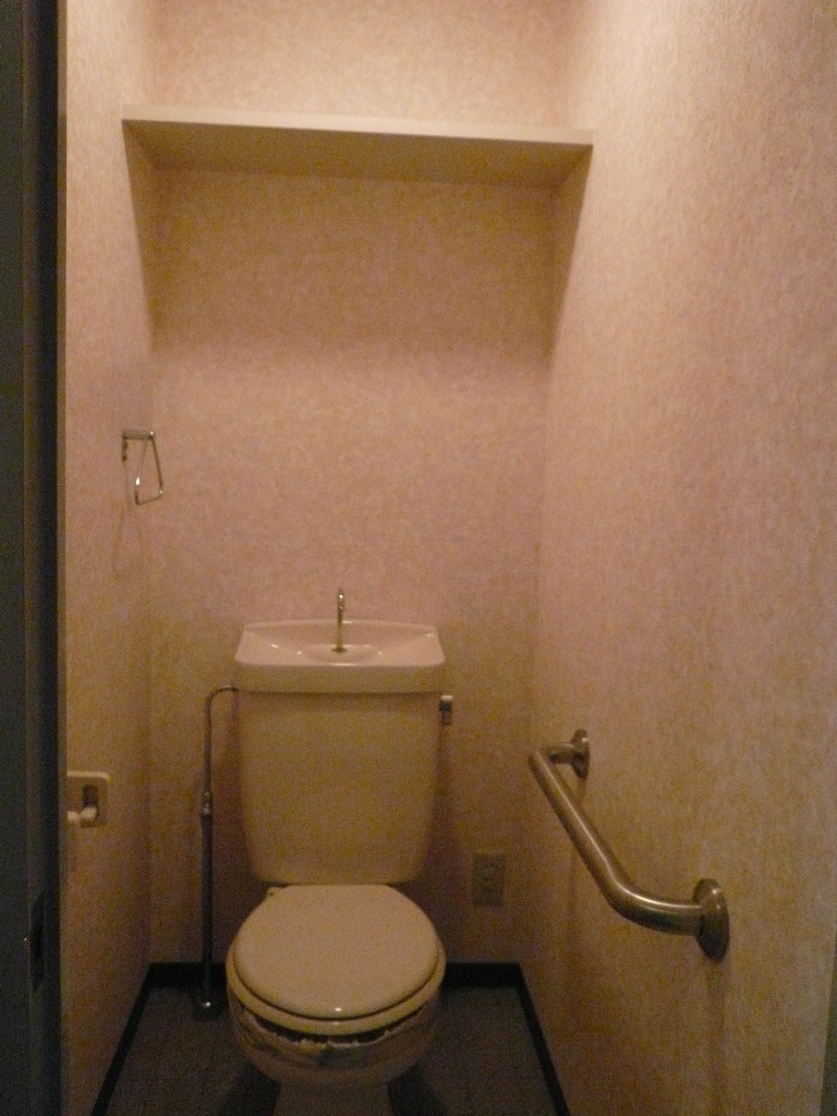 Toilet. toilet Will be inverted type of photo.