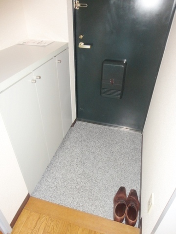 Entrance. Shoes BOX There