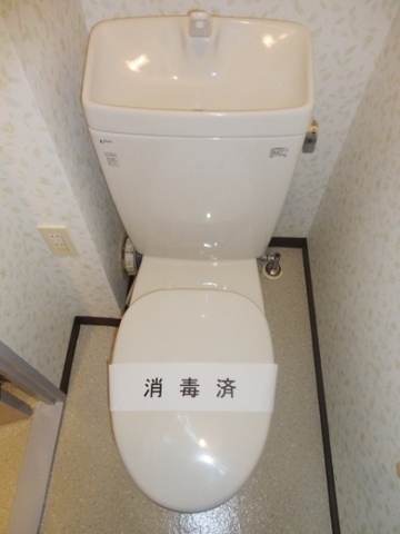 Toilet. Western-style toilet