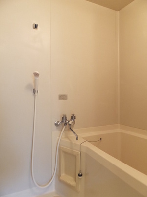 Bath. A clean bathroom