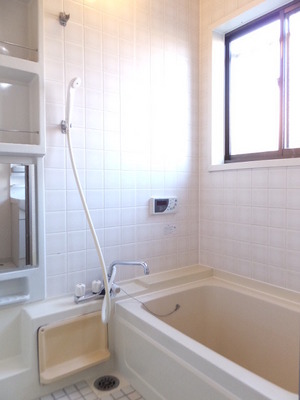 Bath. Bathing with a reheating