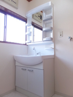 Washroom. Washbasin happy shower