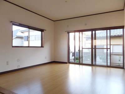 Living and room. Spacious living