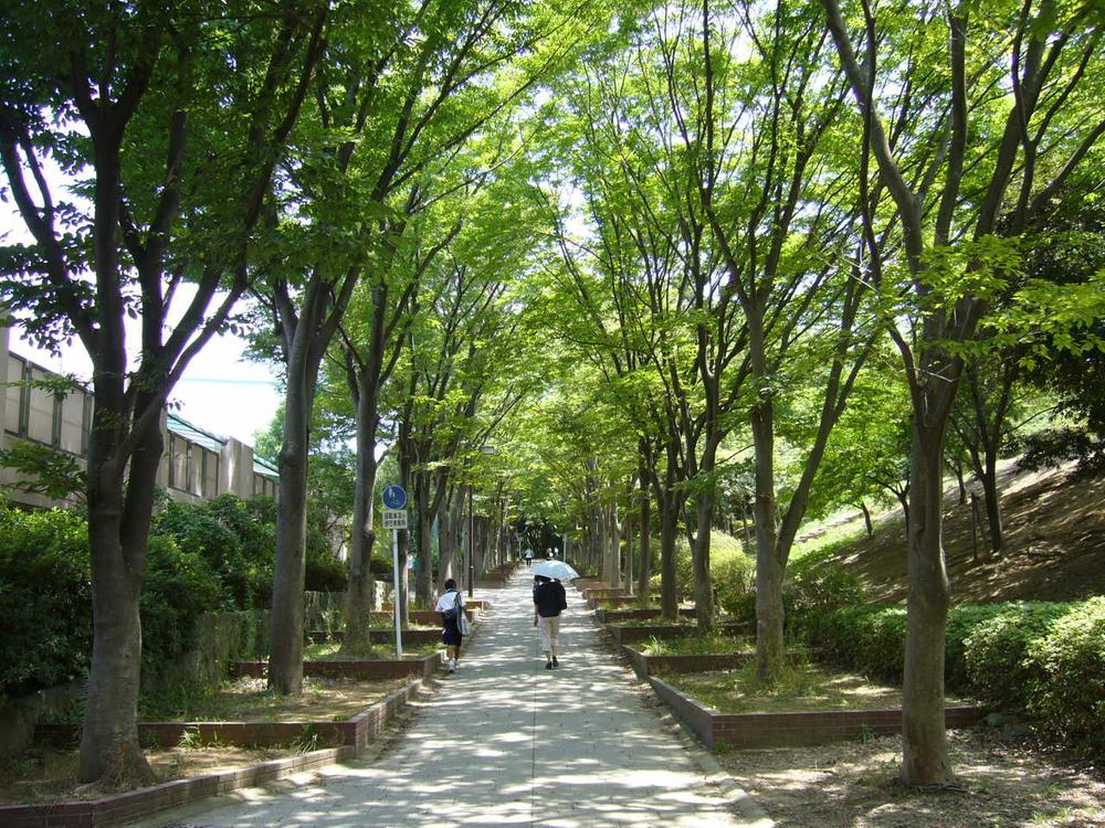 Other. Approach to the station "promenade"