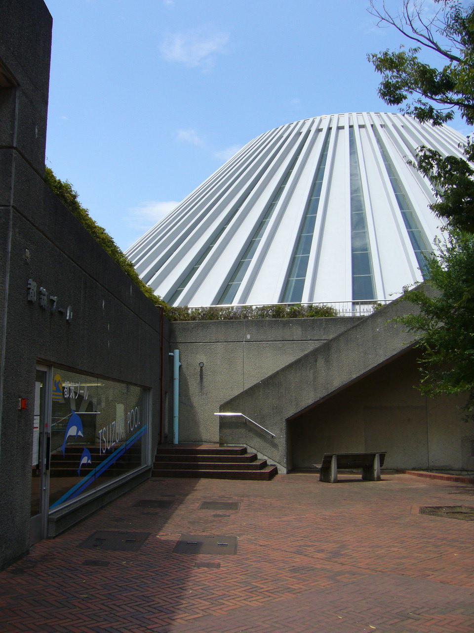 Other Environmental Photo. Continued pool