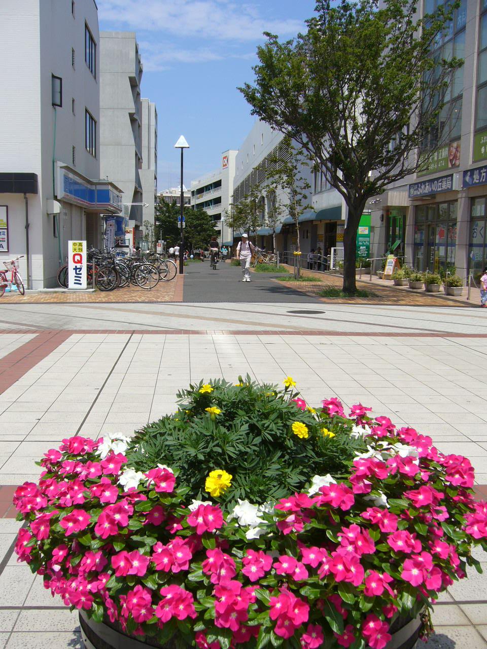 Other Environmental Photo. Promenade from the train station