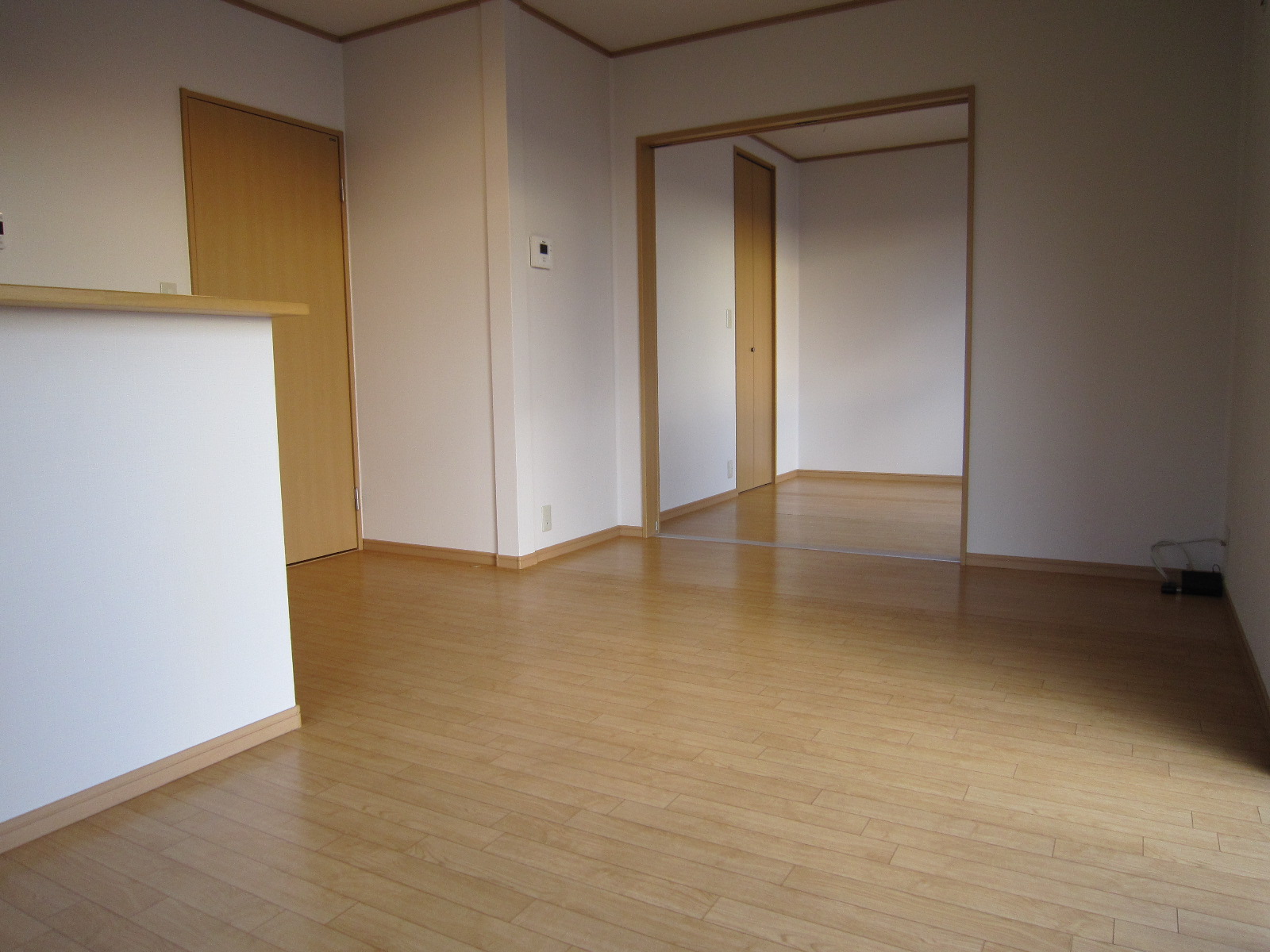 Living and room. Living