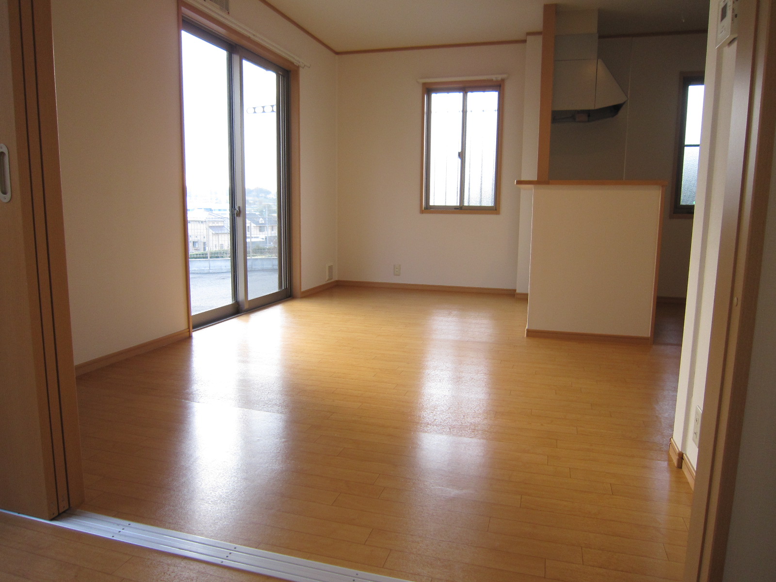 Living and room. Living