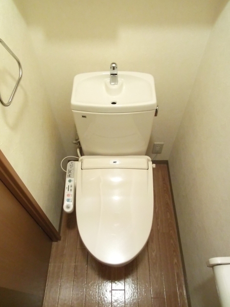 Toilet. Western-style toilet