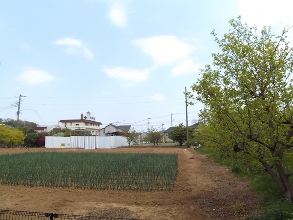 View. Please see local Come