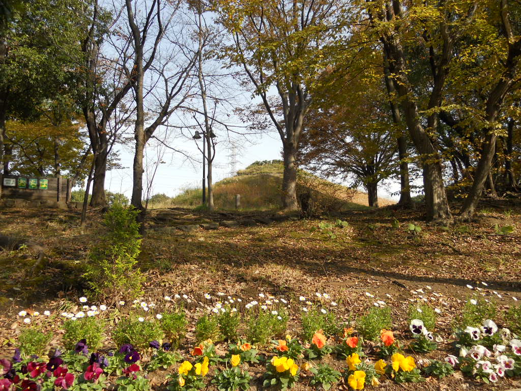 Other. 50m to Kawawa Fuji Park