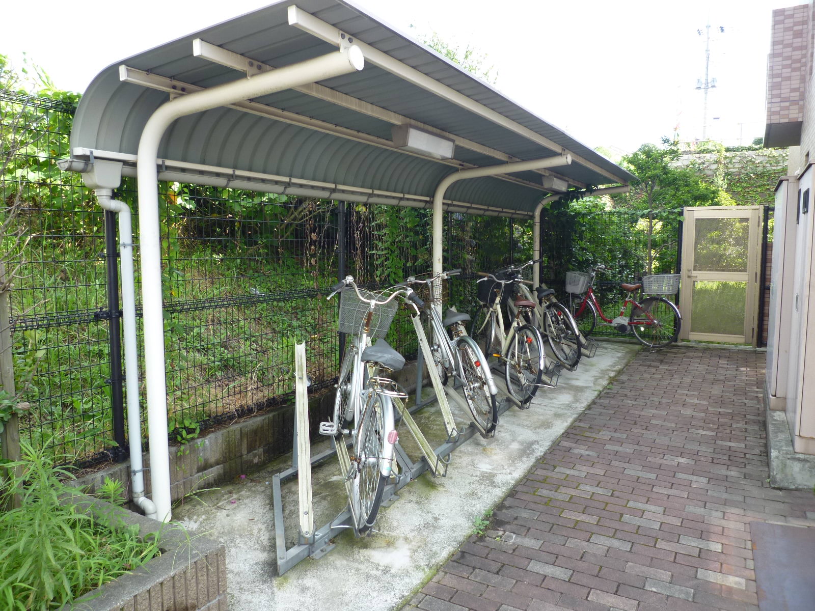 Parking lot. Bicycle-parking space