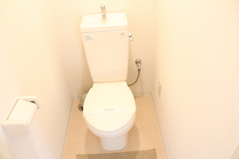 Toilet. Toilet with cleanliness.