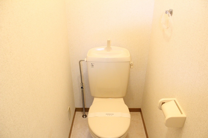 Toilet. It is a toilet with a clean!