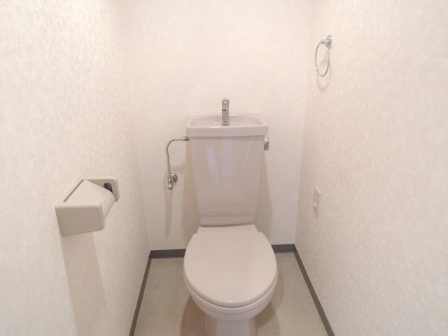 Toilet. Toilet
