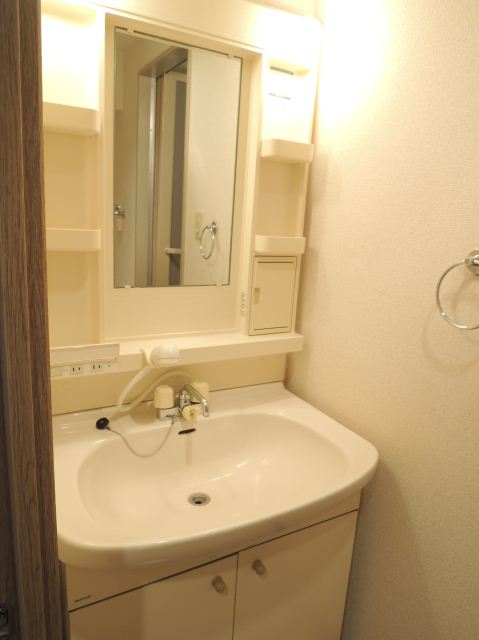 Washroom. Bathroom vanity