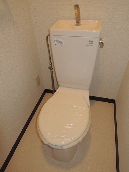 Toilet. Toilet