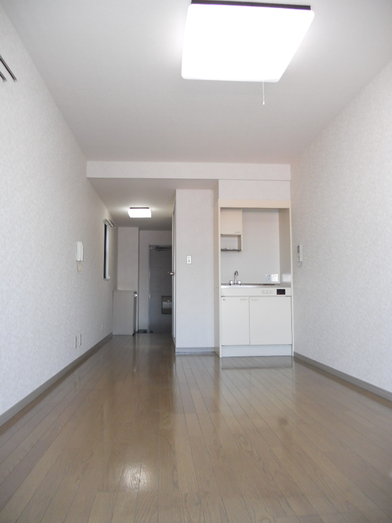 Living and room. Spacious Western-style 10 Pledge