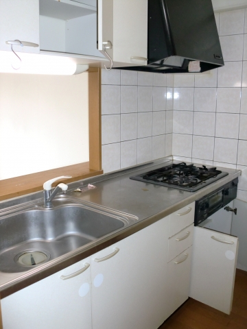 Kitchen. System kitchen of course is with a grill. 