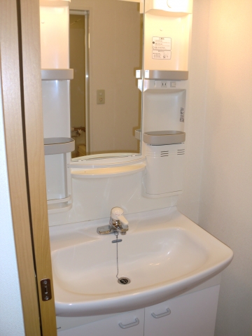 Washroom. Bathroom vanity