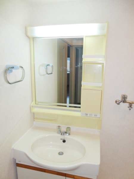 Washroom. Independence is a wash basin