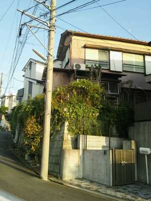 Local land photo. appearance