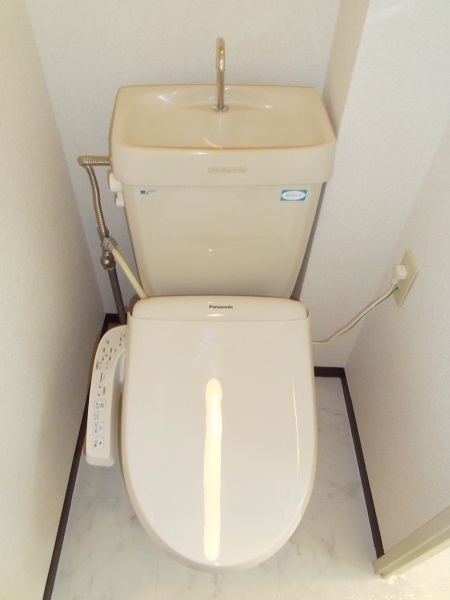 Toilet. Western-style toilet