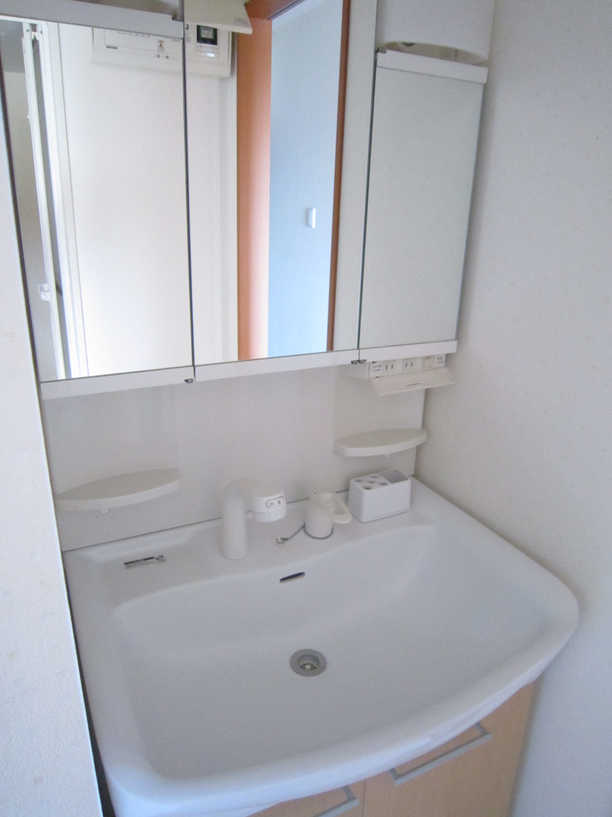 Washroom. Shampoo dresser