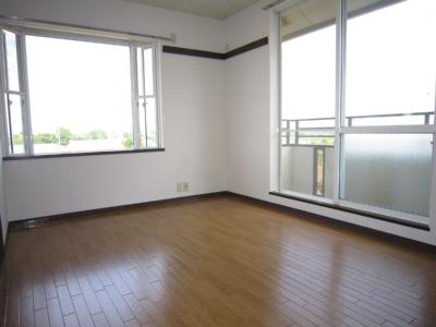 Living and room. Living