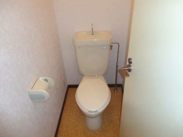 Toilet. Western-style toilet