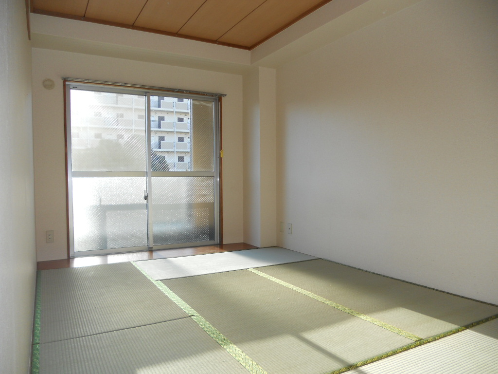 Other room space. Japanese style room
