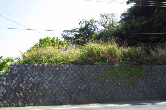 Local land photo. You land on the retaining wall.